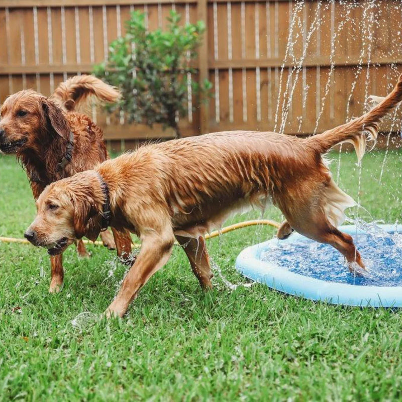 Doggie Sprinkler Pool