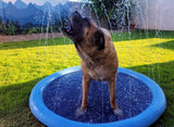 Doggie Sprinkler Pool